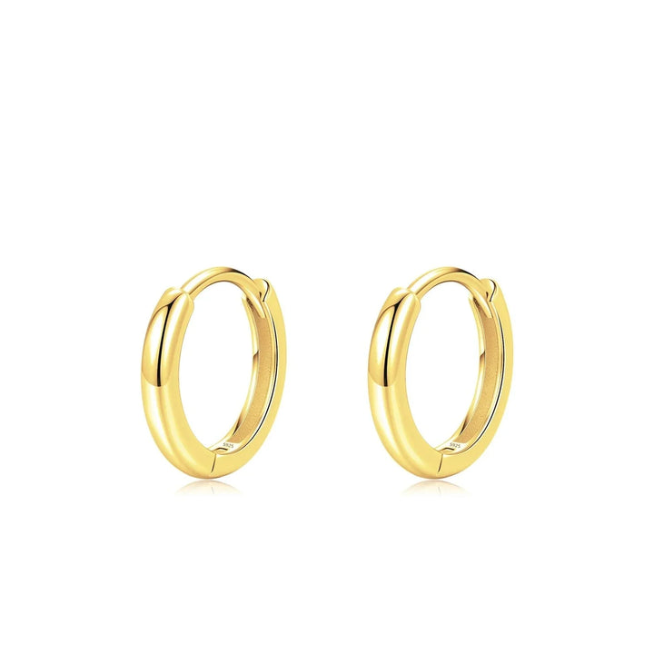 Classic Gold Circle Hoop örhängen