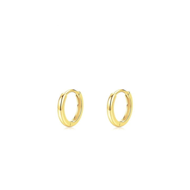 Classic Gold Circle Hoop örhängen